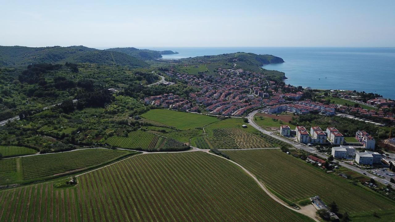 Apartments Villa Sandi Izola Buitenkant foto